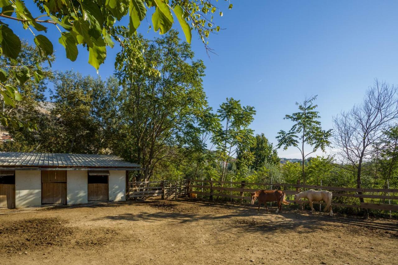 Appartamento Nena Spalato Esterno foto
